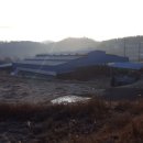 푸름목장 이미지