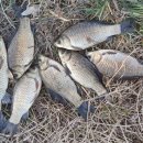 청미천 2 이미지