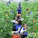 박정도농장 이미지