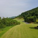 베스트 골프클럽 이미지