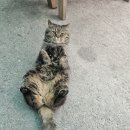 청평8리 마을회관 이미지