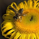 교언검도관 이미지