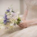 모카트리 이미지