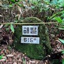(주)선인 - 아산시 | 제주 한라산 무료 해설 꼬닥꼬닥 한라산 숲길 걸으멍 관음사탐방로에서 구린굴까지 탐방 체험 후기