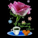 6월21일 뉴스브리핑 이미지