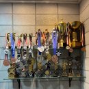 바디체인지 체형교정 이미지