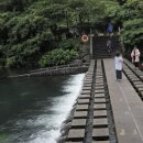 천지연산책로(폭포안) 이미지