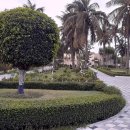 조경기능사 이미지