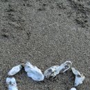 솔가민박 이미지