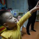 도훈농장 Daum카페