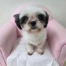 소답동225 이미지