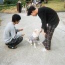 엘도라도 이미지