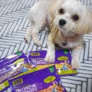 Paw&Me(포앤미) 이미지