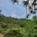 동막골약수터 이미지