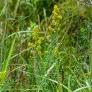 영산대학교(해운대) 이미지