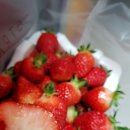 해늘농장 이미지