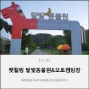 남면어린이집 | 🏕️펫힐링달빛동물원&amp;오토캠핑장 후기