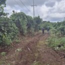 신산리 태양광발전소 이미지