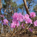 아름따다 이미지