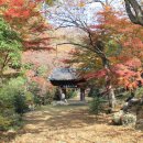 화순농협주유소