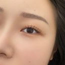 윰네일래쉬 | [경기도/오산역] 뮤엔온-오산 속눈썹연장 내돈내산 솔직후기