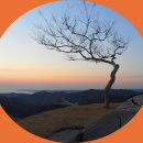 백일홍동산 이미지