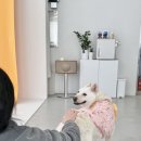 필름유희