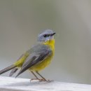 창조행정사사무소 이미지