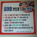 비발디송어골