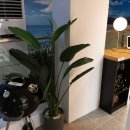 속초써밋베이 이미지