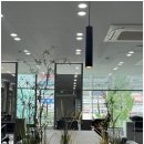 조이살롱
