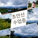 상계문화정보도서관 | 목요일은 도봉 문화 정보 도서관 수업 후 야외 수업 셀프 후기 feat 스마트폰 활용 전문 강사 노 정자