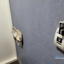 칠성모텔 이미지