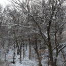 솔안말어린이공원 이미지