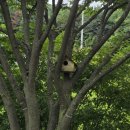 뚜레쥬르남춘천점 | 춘천 오하이하우스 브런치 후기