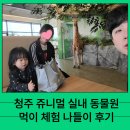 체험나들이코스 | 청주 쥬니멀 실내 동물원 먹이 체험 나들이 후기