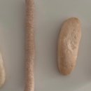 지후농장 이미지