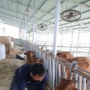 충주농장 이미지