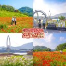 전라도 가볼만한곳 임실 요산공원 양귀비 옥정호 출렁다리 여행 코스