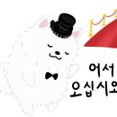 비타민동물병원 이미지