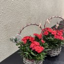 가마치통닭 지행점 이미지