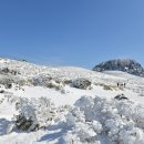 제주수흉부외과의원 이미지