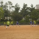 공도중학교 이미지