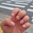 네일뷰티에버뉴 | 영등포네일 네일연장 가을컬러네일 짧은손톱네일아트 네일에버뉴