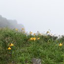 지리산천상화원 이미지
