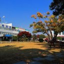 곡성-243 이미지