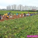 우미농장 이미지