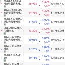 솔탑2의 미친 거래량 ㄷㄷ 이미지