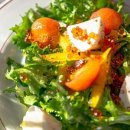 온도(ondo) 이미지