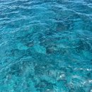 돌고래하우스 이미지